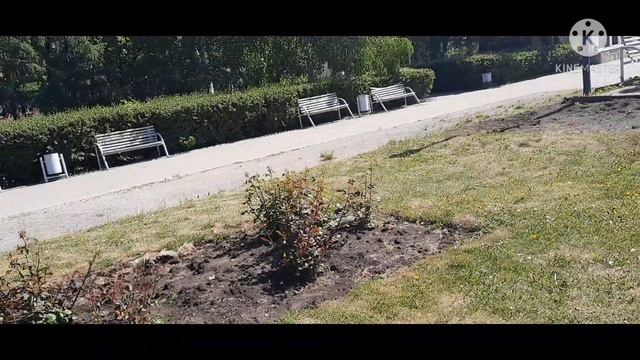КАК ЗАГОРАТЬ С ПОЛЬЗОЙ ДЛЯ ЗДОРОВЬЯ? смотреть онлайн