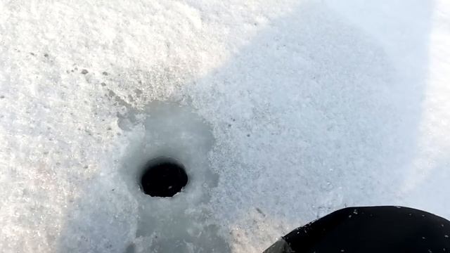 ЧЁРТИКИ ОТМЕНЯЮТ ГЛУХОЗИМЬЕ ! Отличная рыбалка с безнасадками ! смотреть онлайн