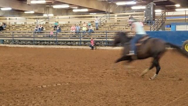 Java bean 8/16/18 at horsebarn смотреть онлайн