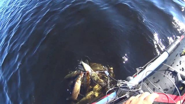 Щука Спиннинг на малых реках Сибири смотреть онлайн