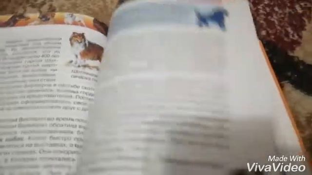 Рассказы о книжках животных и собак смотреть онлайн