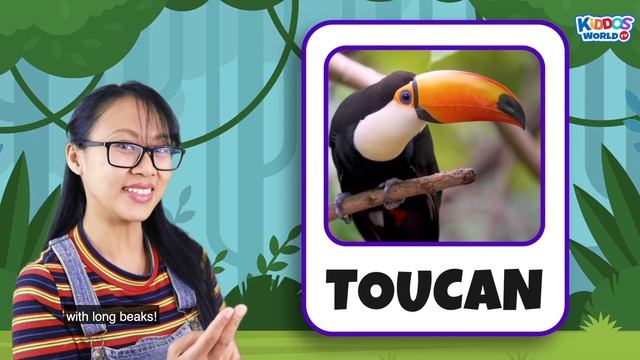 Learn About Animals | Fun Facts Animals | Zoo Animals For Toddlers And Kids