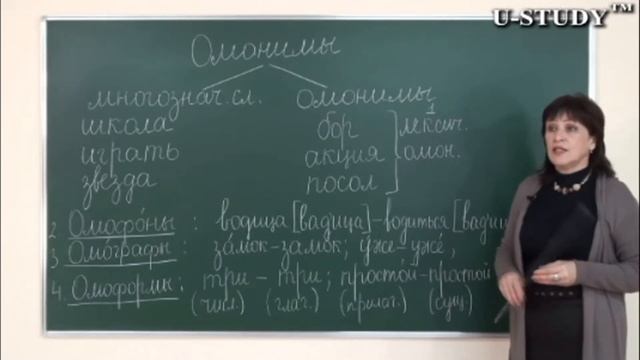 Подготовка к ЕНТ: Русский язык (Омонимы) смотреть онлайн