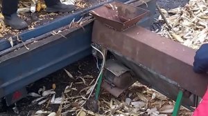 Уборка кукурузы в початках