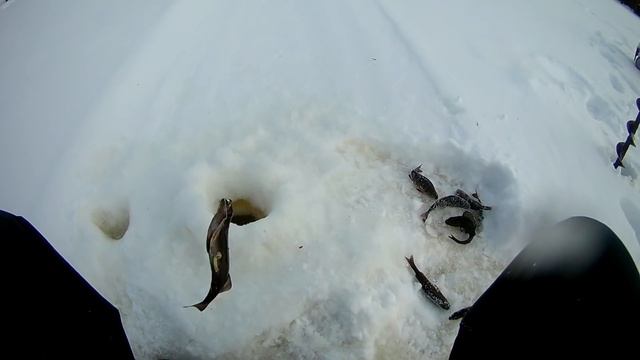 почти весенняя рыбалка, смотреть онлайн