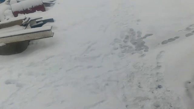 Шум дизельного котла Китурами 17R смотреть онлайн