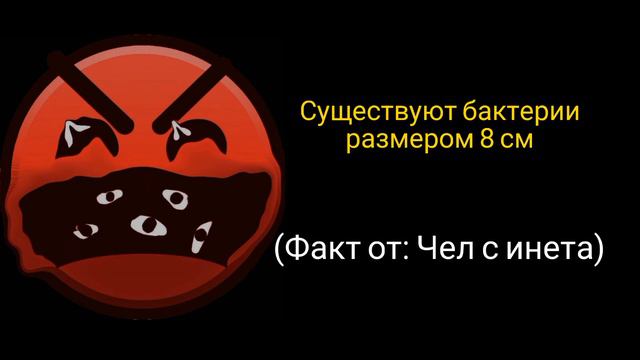 Ты услышал этот факт: (7 часть) смотреть онлайн