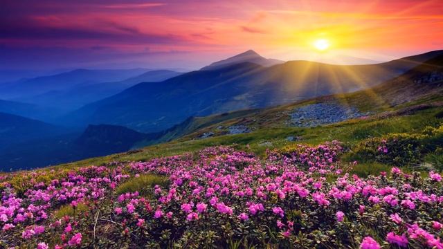 Спокойная Музыка Для Души - Спокойная Музыка Без Слов - Спокойная Музыка Для Сна смотреть онлайн