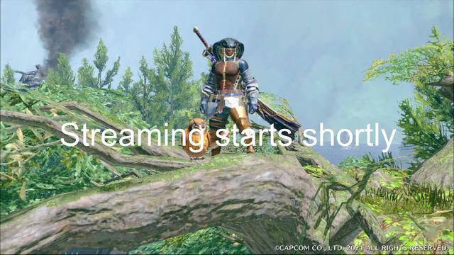 Monster Hunter Rise Grind Session смотреть онлайн