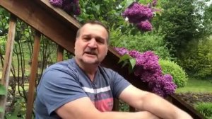 Материнские слезы. Леонид Писарчук.