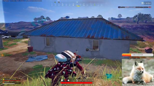 Mother🦊PUBG BATTLEGROUNDS /Всё тип топ/Девушка стримит пабг🐾