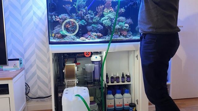 Mixed Reef - Saltwater Aquarium - Red Sea Reefer 250 - Reef Tank Maintenance смотреть онлайн