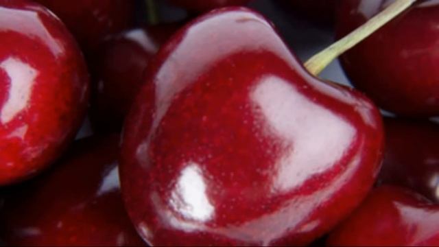 В чем выгода от прививки черешни на сливу смотреть онлайн