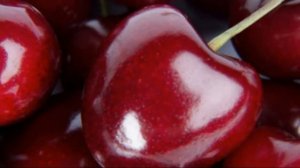 В чем выгода от прививки черешни на сливу