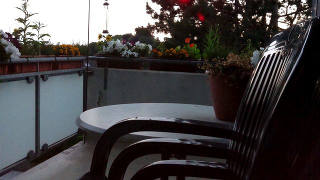 Thirsty Flower