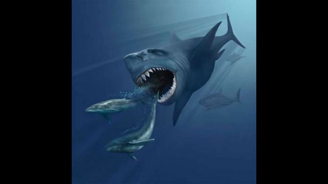 Что это за рыба? Кто знает? (Посмотрите внимательно) смотреть онлайн