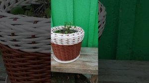 Кашпо из ротанга с добавлением другого цвета. Часть 2.