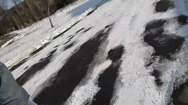 VLOG(1.3) НАШЛИ ЁЛКУ НА МУСОРКЕ смотреть онлайн