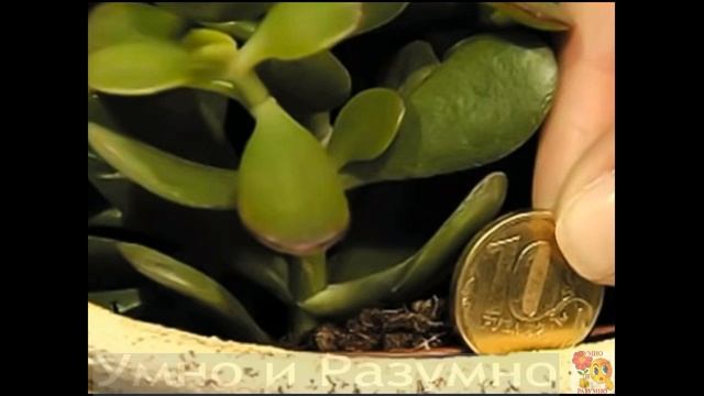 Приметы приносящие удачу и благополучие смотреть онлайн