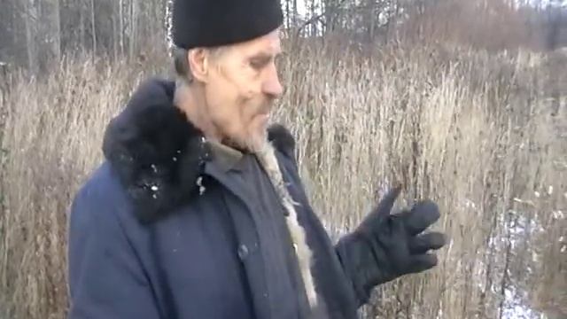 Собака друг человека смотреть онлайн