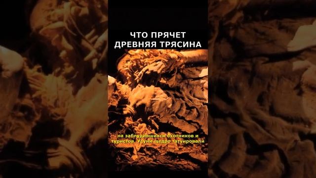 Мумии людей медведей в сибирских болотах | Загадки истории |Артефакты #факты #интересно смотреть онлайн