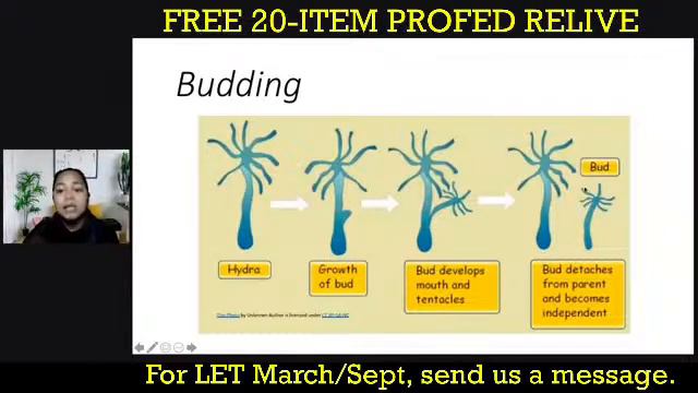 FREE LET NEW Curriculum GenEd Items (RELIVE) смотреть онлайн