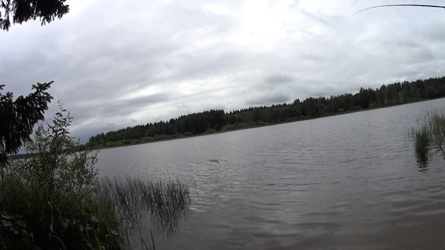 Рыбалка как на Чёрных камнях. КЛЁВ КАК В АКВАРИУМЕ. РЫБАЛКА ОЗ. КАФТИНО ТВЕРСКАЯ ОБЛ смотреть онлайн