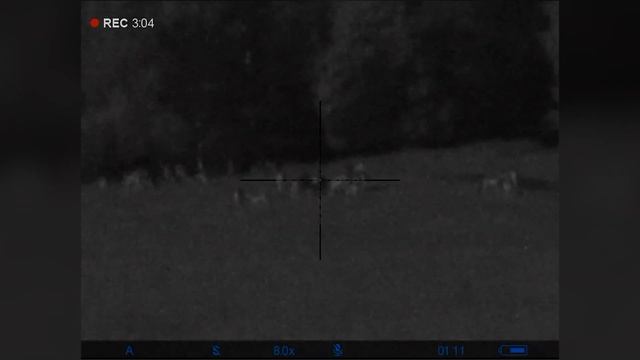 Pulsar Digisight Ultra N455 LRF - Наблюдение за животными