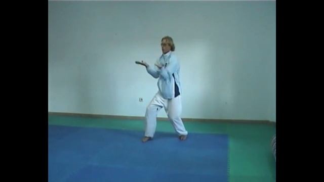 Yong Chun White Crane Manual - Martin Watts White Crane Kung Fu смотреть онлайн