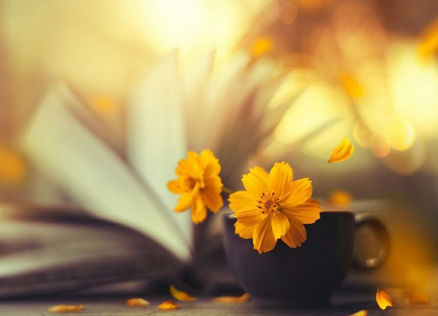 20220911_205208.mp4 сказка братьев Гримм, Розочка и Беляночка. смотреть онлайн