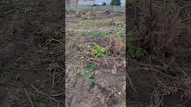 Как правильно начать стройку? смотреть онлайн