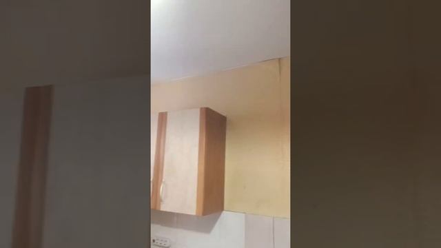 Видеоотчёт о состояни квартиры по адресу: г.Дедовск, улица Главная, дом 8, квартира 69. 5.12.2021 смотреть онлайн