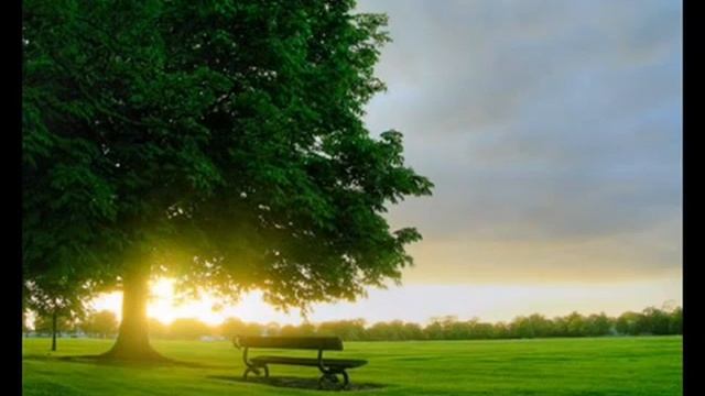 Наталья Бучинская Я тебя поздравляю! смотреть онлайн