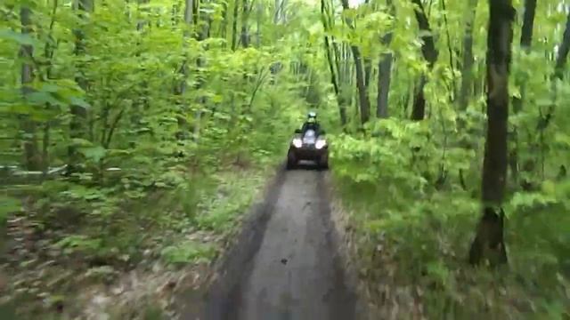 Лесной маршрут для начинающих смотреть онлайн