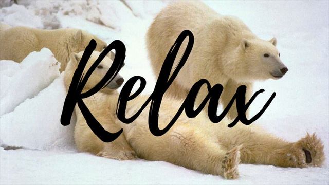 Classical Music For Relaxation