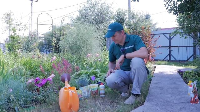 Школа ОЖЗ: Уход за садовыми цветами. В гостях у цветовода Гузалии Абзалиловой смотреть онлайн