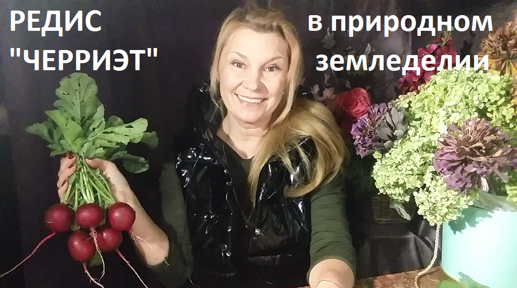 Редис от А до Я. смотреть онлайн