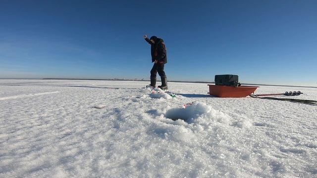 Зимняя рыбалка на Корюшку. Ловля Корюшки на Финском заливе. смотреть онлайн