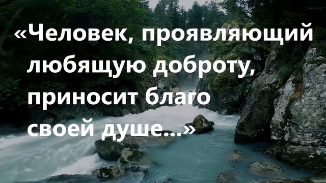 Щедрость приносит счастье смотреть онлайн