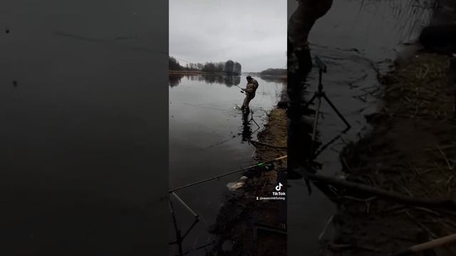 Открываем фидерный сезон 2022 #фидер #беларусь #брест #спорт #лещ смотреть онлайн