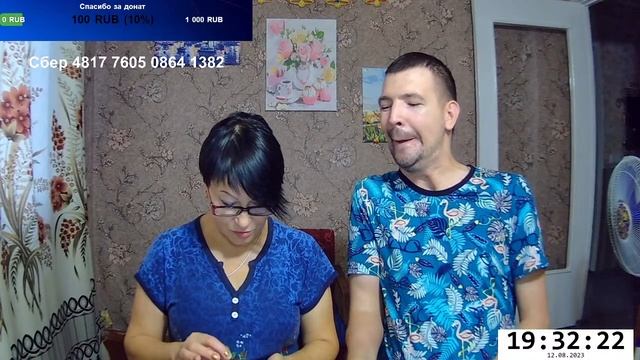 Есть ИДЕИ как быть с БЕЗДОМНЫМИ животными ? / Вопрос - ответ / СТРИМ смотреть онлайн