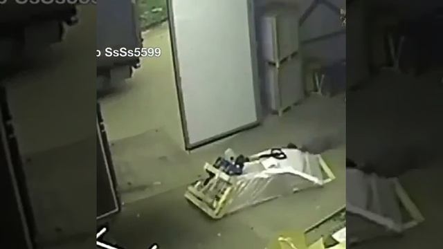 Гайд по рохле смотреть онлайн