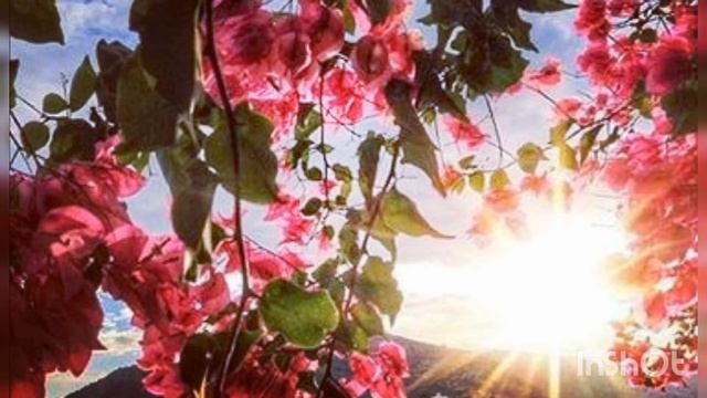 Открой своё Сердце! /автор и исп. Наталья Громадчук / смотреть онлайн