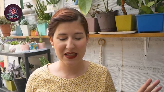 10 SUCULENTAS FÁCILES DE CUIDAR / Para Principiantes