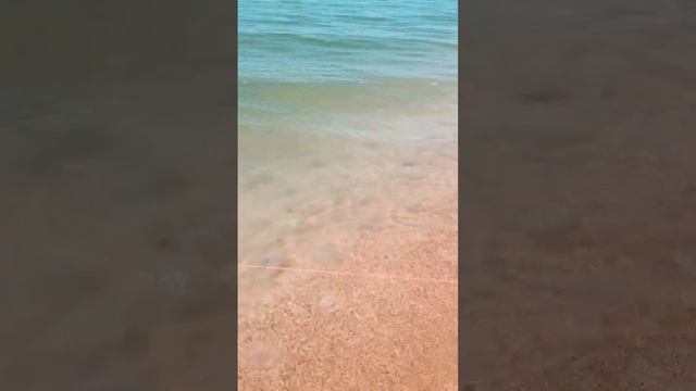 Азовское море лето 2023,ловля Пеленгаса. смотреть онлайн