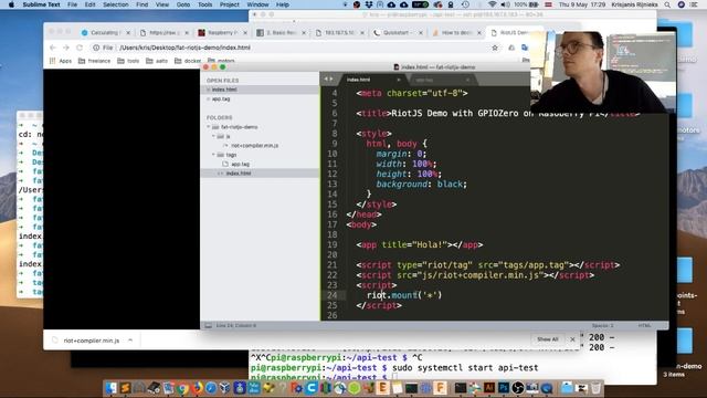 Building Web Interface with RiotjS смотреть онлайн