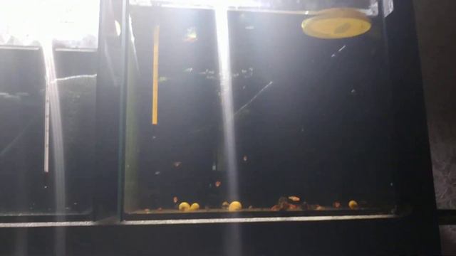 Обо всем понемногу. смотреть онлайн