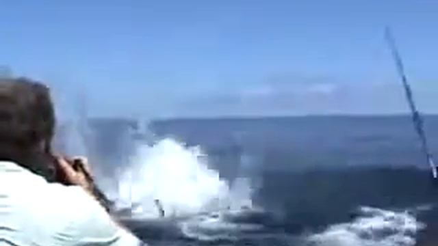 Рыба-меч атакует рыбака! Смотреть всем! смотреть онлайн