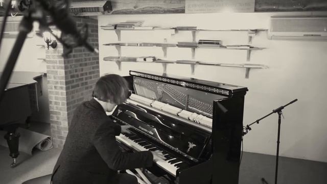 Oliver Poole - The Blue Danube (Strauss/Schulz-Evler) - Phoenix Model 130 piano130 смотреть онлайн