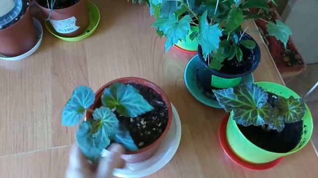 Я календарь переверну и снова 3 сентября. смотреть онлайн